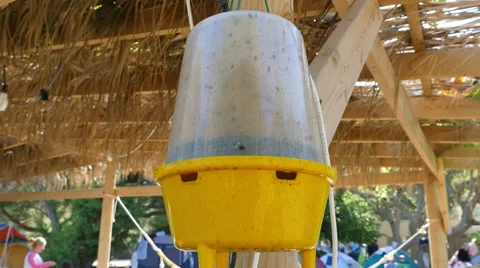 Ecological  insect trap Stock Footage 64902282