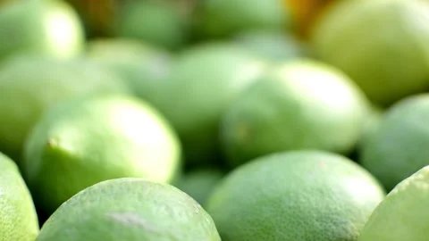 Ecological lemons or lemon in boxes freshly cuaght at agricultural field 库存影片 139348750