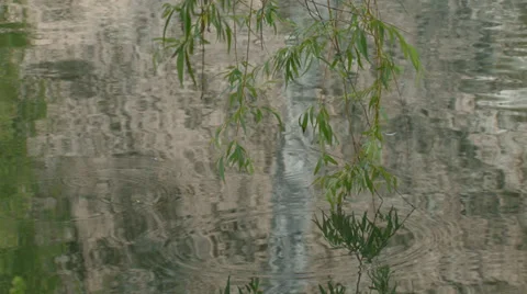 Ecological nature Stock Footage 30550731