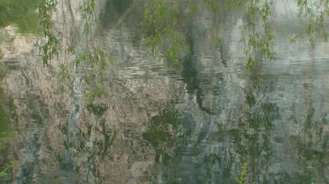 Ecological nature Video stock 30550799