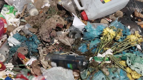 Ecological neglect, Garbage landscape, Garbage neglect Stock-Footage 275078294