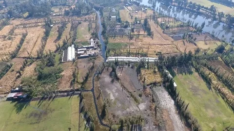 Ecological park of Xochimilco, native environment of Axolotls Stock Footage 88964782