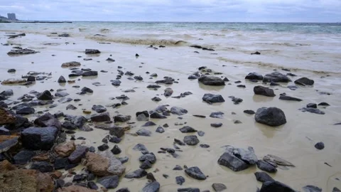 Ecological pollution in the Black Sea: vegetable oil spill and contaminatio.. Stock Footage 335540138