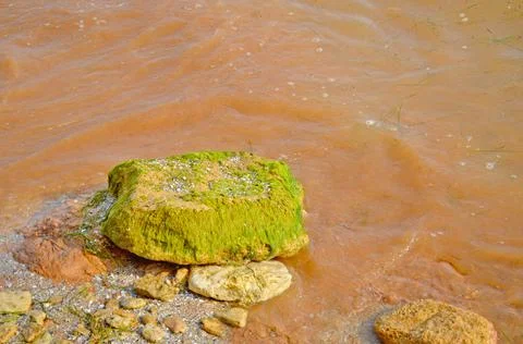 Ecological problem dirty water Фото