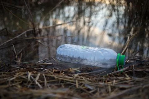 Ecological problem. Empty used dirty plastic bottle on shore of lake. Stock Photos