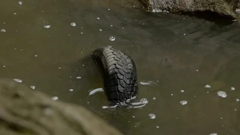 Ecological problem. An old car tire floating in water. Stock Footage 94508677