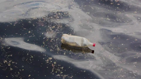 Ecological problem, plastic water bottle floating on water surface. Empty Coke 스톡 동영상 131823785