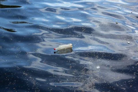 Ecological problem, plastic water bottle floating on water surface. Stock Photos