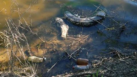 Ecological problem, pollution of lakes and rivers. Slow motion Stock Footage 89608730