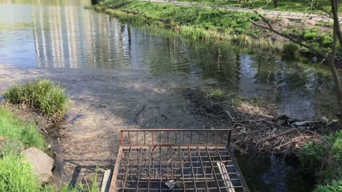 Ecological problems, stock dirty water in lakes, garbage, water supply Stock Footage 130916294