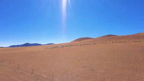 Ecological protection along 219, Ali scenery, plateau scenery, Stock Footage 241978500