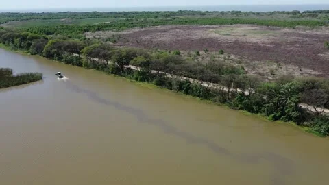 Ecological Reserve of Buenos Aires Stock Footage 168981987