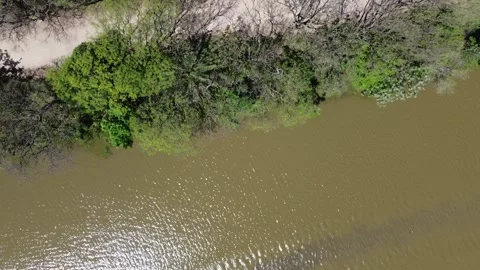 Ecological Reserve of Buenos Aires Stock Footage 168982020