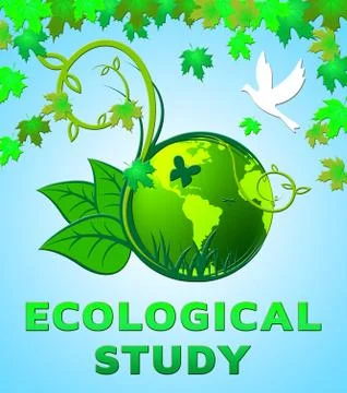 Ecological Study Shows Eco Learning 3d Illustration イラスト素材