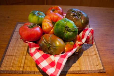 Ecological tomatoes tomates ecológicos Stock Photos