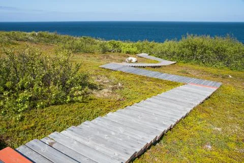 Ecological trail Stock Photos
