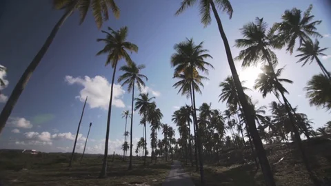 Ecological trail on a tropical beach Video stock 128094339