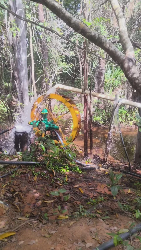 Ecological water pump operating in a jungle river for irrigation. Stock Footage 313241036
