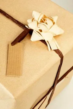 Ecological wrapped present. Stock Photos
