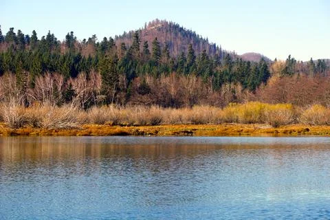 Ecologically acceptable natural environment in a beautiful unpolluted landsca Stock Photos