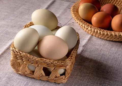 Ecologically clean multi-colored chicken eggs displayed on a rustic wooden .. Stock Photos