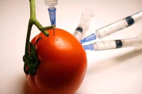 Ecologically clean products Stock Photos