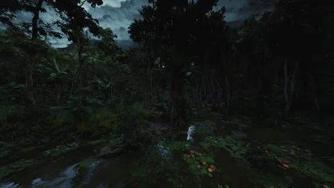 Ecologist documenting bird species within vibrant forest scenery during dusk Stock Footage 334340760