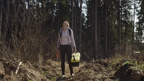 Ecologist examines an injury tree trunks Video stock 107377219
