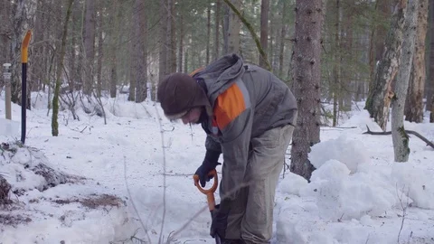 Ecologist in the forest digging a soil slit Stock Footage 105927806
