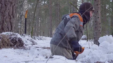 Ecologist in the forest digging a soil slit Video stock 105927997