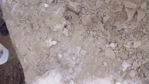 Ecologist in the forest digging a soil slit Stock Footage 105931282