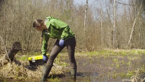 Ecologist on the forest felling getting samples Stock Footage 107386142