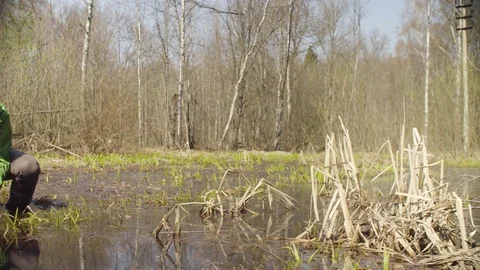 Ecologist on the forest felling getting samples Stockbeeldmateriaal 107386441