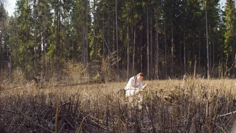 Ecologist on the forest felling writing in notebook Stock Footage 107381401