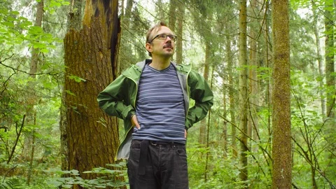 The ecologist in a forest looking around Video stock 93716024