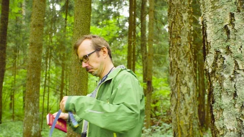 The ecologist in a forest measuring a tree trunk Stock Footage 93709422
