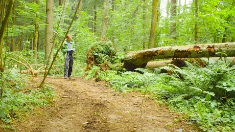 The ecologist in a forest measuring a tree trunk Stock Footage 93712561