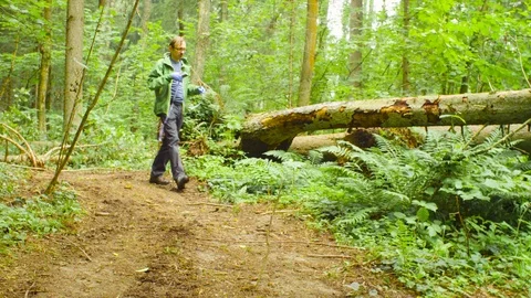 The ecologist in a forest measuring a tree trunk Video stock 93713086