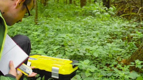 The ecologist in a forest measuring a tree trunk 스톡 동영상 93849392