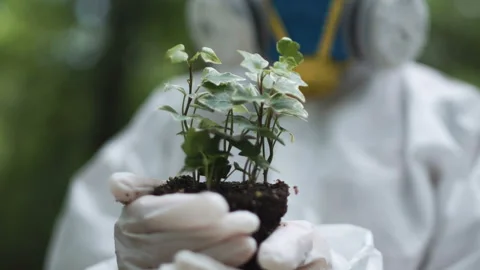 Ecologist holding plant Stock Footage 100543187