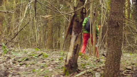 The ecologist looking for a place of research. Video stock 88788997