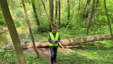 Ecologist makes records of the state of the environment forest river. Stock Footage 240314000