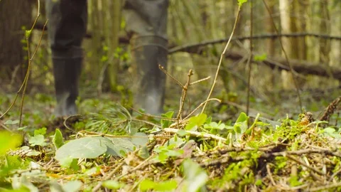 The ecologist making photos in the forest. Stock Footage 89395166