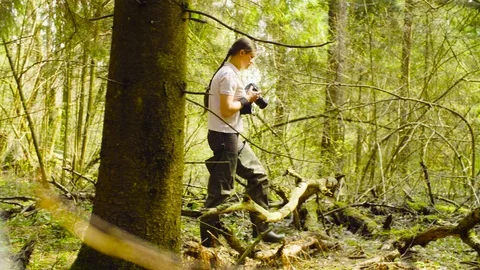 The ecologist making photos in the forest. Stock Footage 89395632