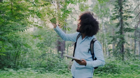 Ecologist or Biologist Worker with Tablet PC Hiking in Forest. Inspecting of Stock Footage 148550070