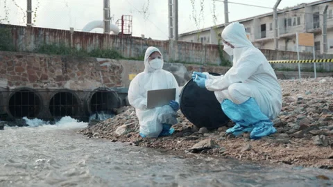 Ecologist sample water from the river and get fishes dead to check effected case Video stock 228582502