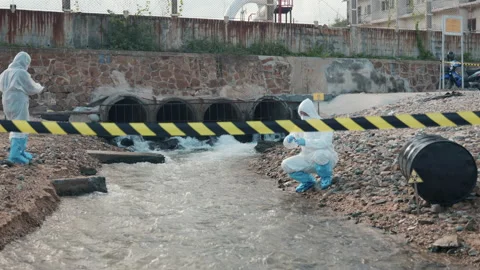 Ecologist sample water from the river and get fishes dead to check effected case Video stock 228582881