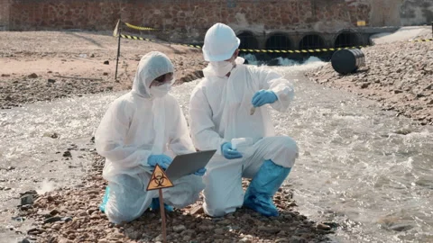 Ecologist sampling taken dead fish to inspaction and save data to laptop Stock Footage 207969757
