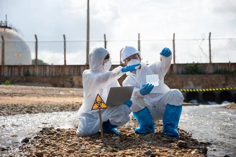 Ecologist sampling taken dead fish to inspaction and save data to laptop comp Stock Photos