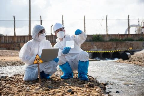 Ecologist sampling taken dead fish to inspaction and save data to laptop Stock Photos